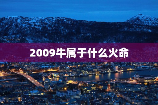 2009牛属于什么火命