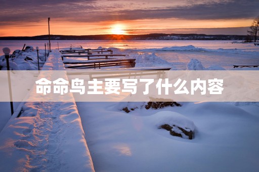 命命鸟主要写了什么内容