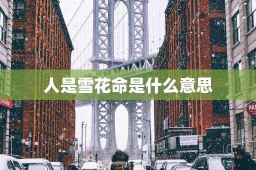人是雪花命是什么意思