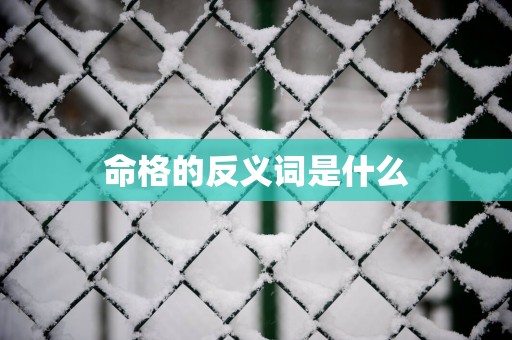命格的反义词是什么