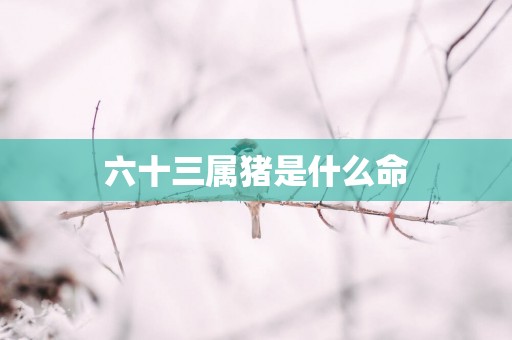 六十三属猪是什么命