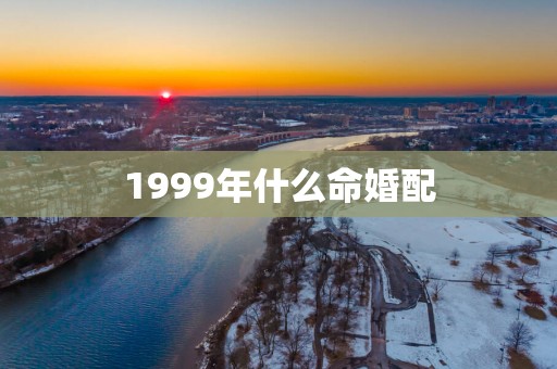 1999年什么命婚配
