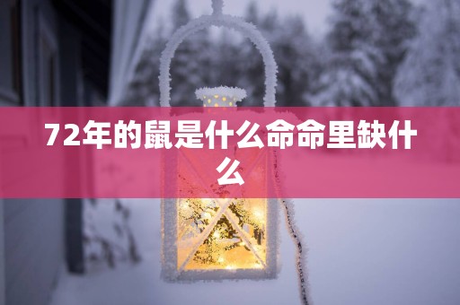 72年的鼠是什么命命里缺什么
