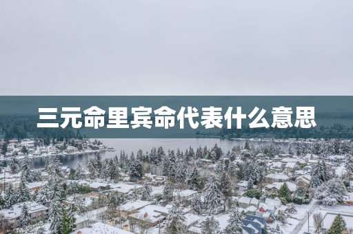 三元命里宾命代表什么意思