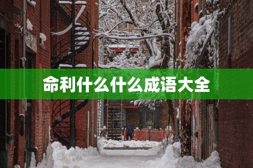 命利什么什么成语大全