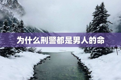 为什么刑警都是男人的命