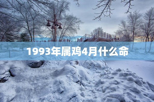 1993年属鸡4月什么命