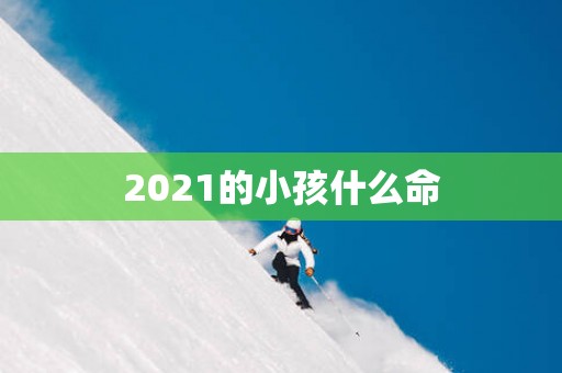 2025的小孩什么命
