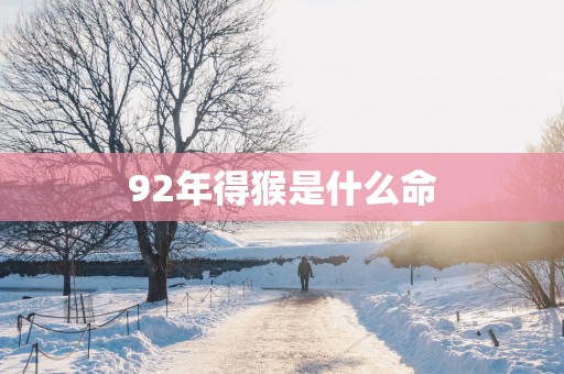 92年得猴是什么命