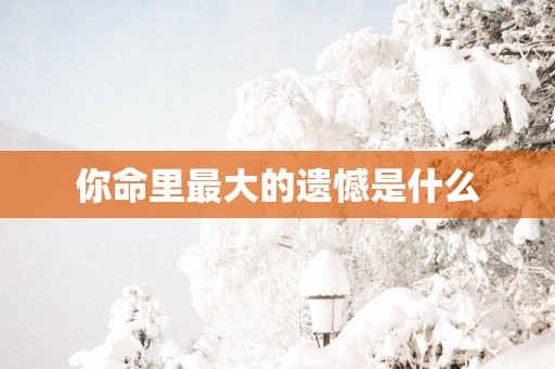 你命里最大的遗憾是什么