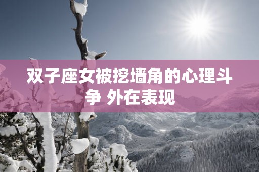 双子座女被挖墙角的心理斗争 外在表现