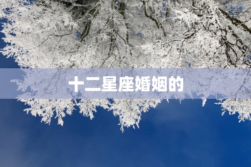 十二星座婚姻的