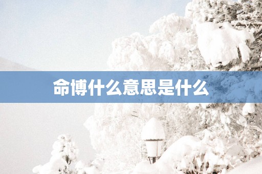 命博什么意思是什么