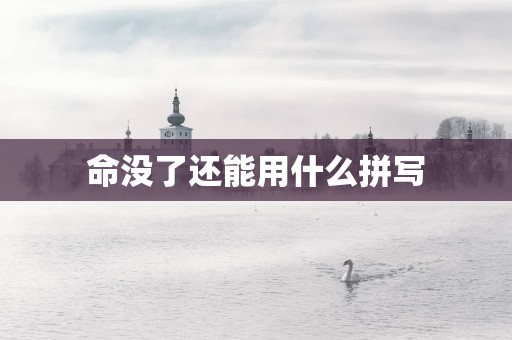 命没了还能用什么拼写