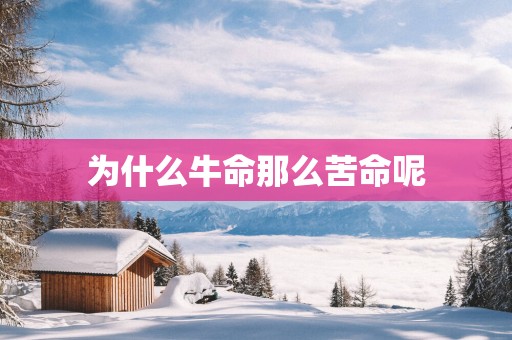 为什么牛命那么苦命呢