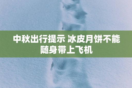 中秋出行提示 冰皮月饼不能随身带上飞机