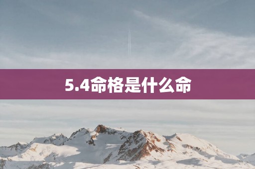 5.4命格是什么命