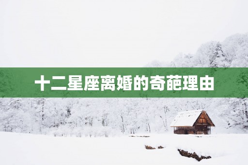 十二星座离婚的奇葩理由