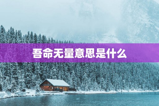 吾命无量意思是什么