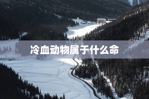 冷血动物属于什么命