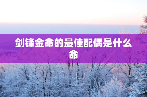 剑锋金命的最佳配偶是什么命
