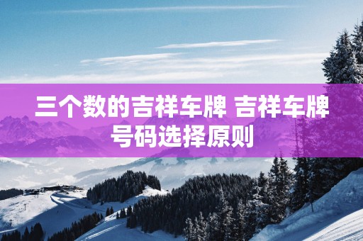 三个数的吉祥车牌 吉祥车牌号码选择原则