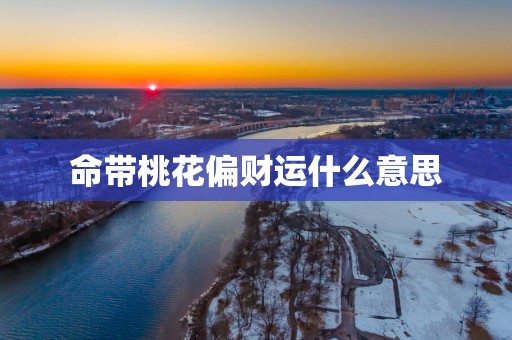 命带桃花偏财运什么意思