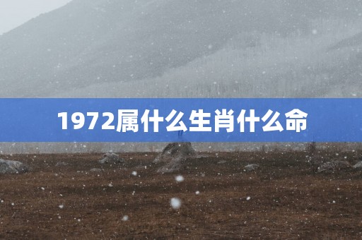 1972属什么生肖什么命