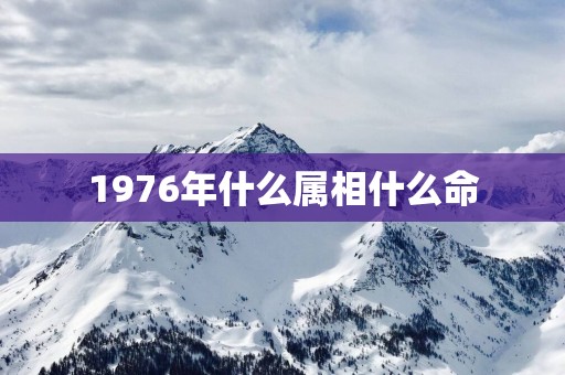 1976年什么属相什么命