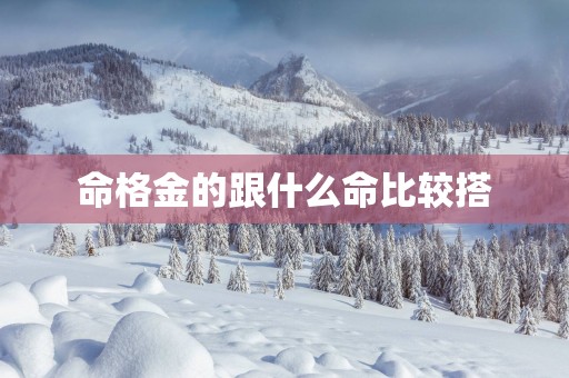 命格金的跟什么命比较搭