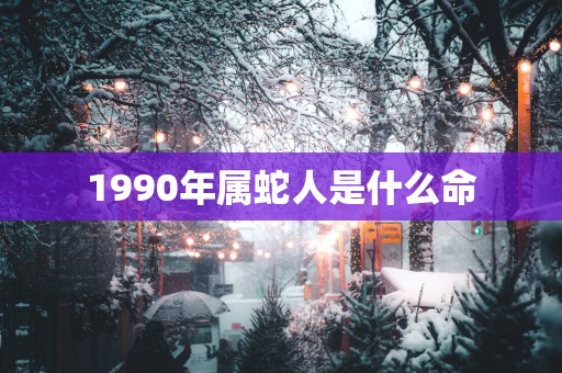 1990年属蛇人是什么命