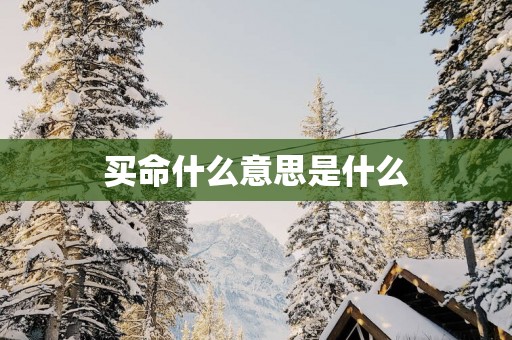 买命什么意思是什么
