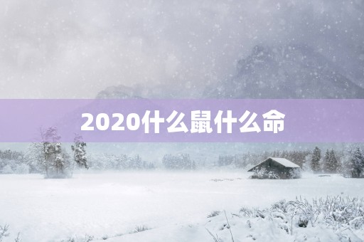 2025什么鼠什么命