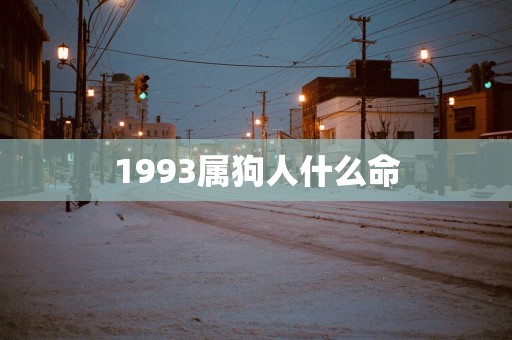 1993属狗人什么命