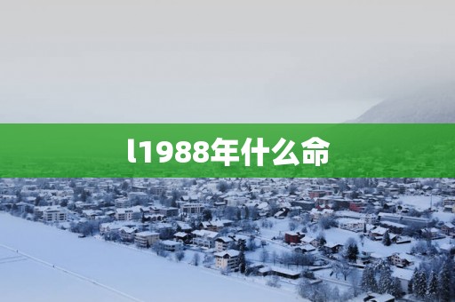 l1988年什么命