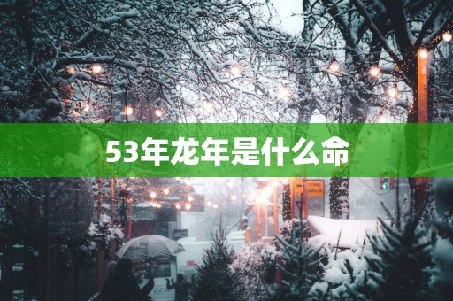 53年蛇年是什么命