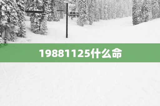 19881125什么命
