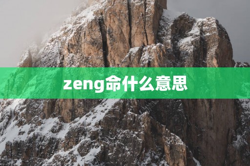 zeng命什么意思