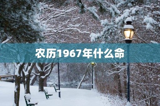 农历1967年什么命