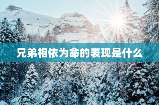 兄弟相依为命的表现是什么