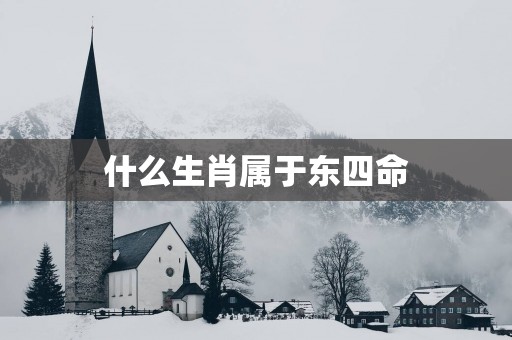 什么生肖属于东四命