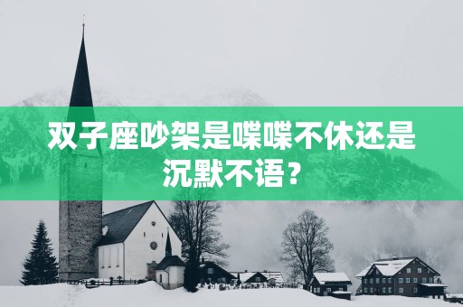 双子座吵架是喋喋不休还是沉默不语？