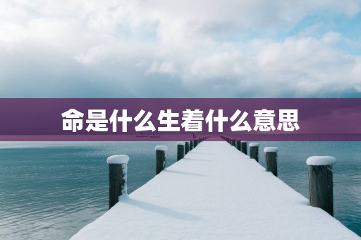 命是什么生着什么意思