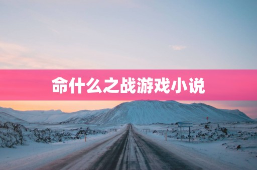 命什么之战游戏小说