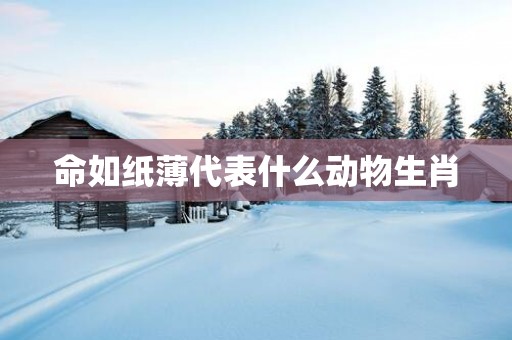 命如纸薄代表什么动物生肖