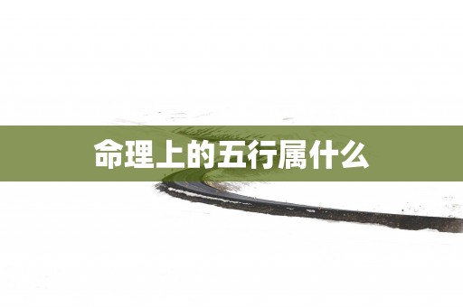 命理上的五行属什么