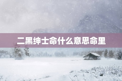 二黑绅士命什么意思命里