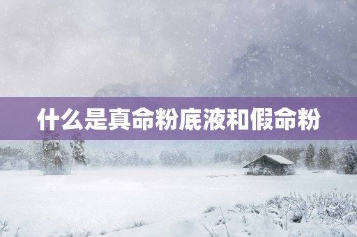 什么是真命粉底液和假命粉