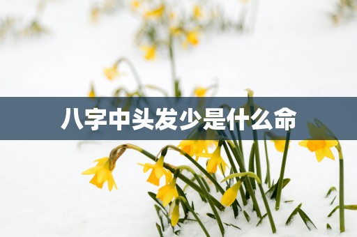 八字中头发少是什么命