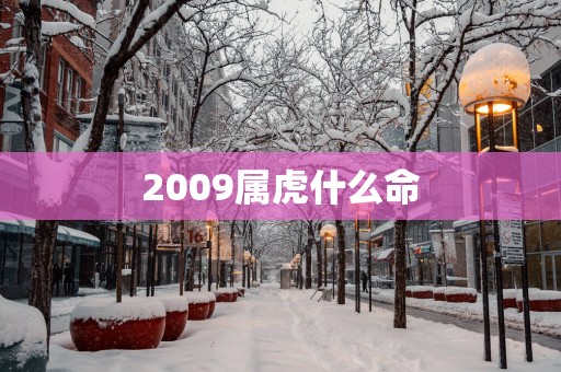 2009属虎什么命